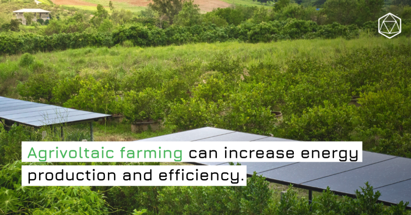 Agrivoltaic farming increase energy production and efficiency. - Ampowr