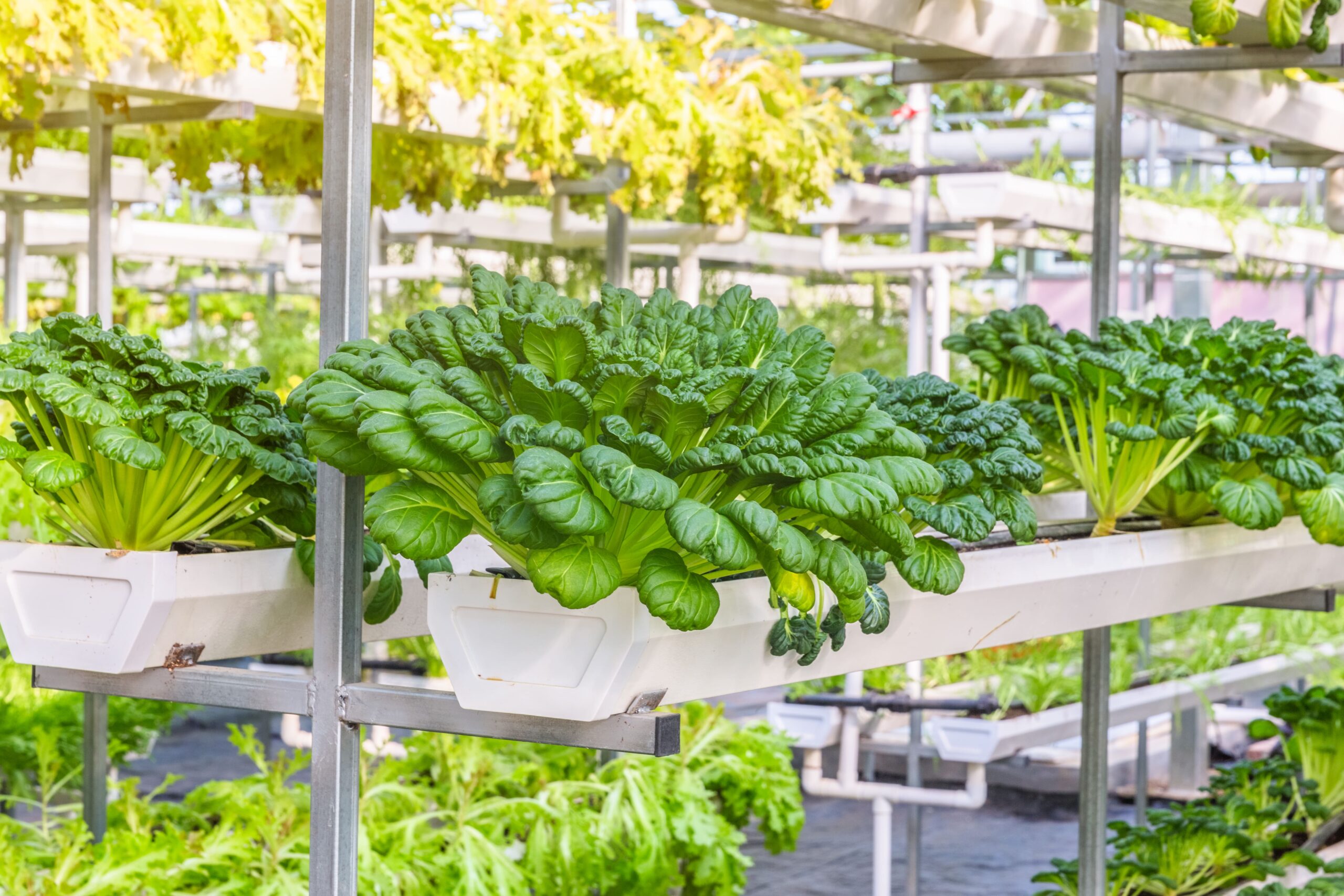 energy storage systems for vertical farms
